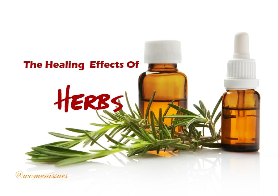 The healing effects of herbs